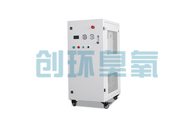 丹东比传统换水更高效?臭氧发生器在石斑鱼养殖中的水质净化原理解析